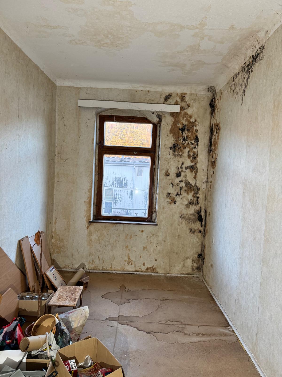 Sanierungsobjekt mit großem Entwicklungspotenzial - Bild 32